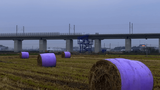 Hay bales in a field near a bridge
