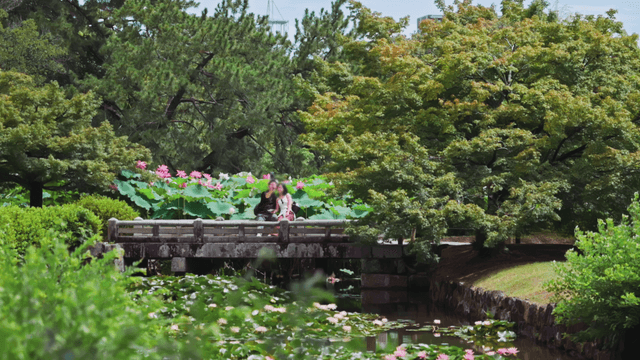 Couple sitting on a bridge in a garden