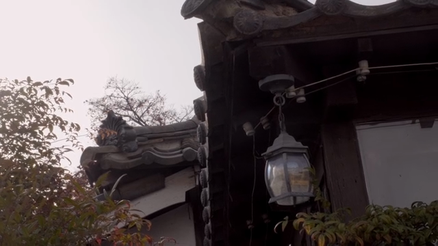 Traditional Korean roof with sunlight