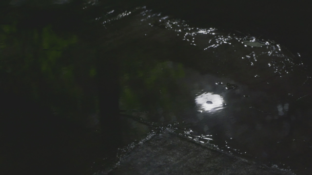 Rain puddle reflecting light