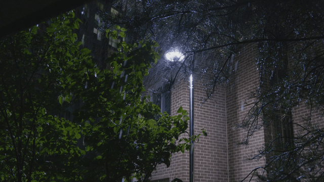Rain falling under trees and streetlights near brick building