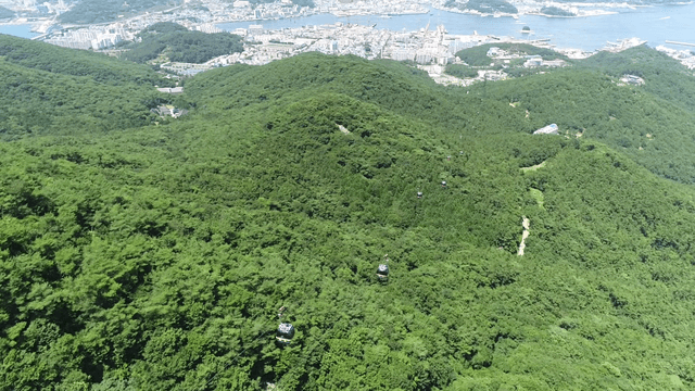 Cable cars over lush green mountains