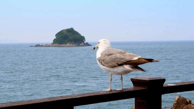 A seagull perched on a wooden railing by the sea