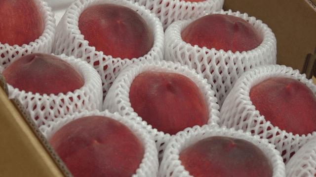 Peaches neatly packed in a box