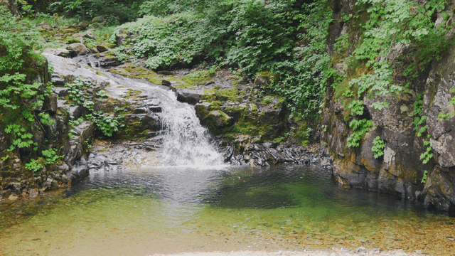 Quiet valley flowing beneath rocky cliff surrounded by dense forest