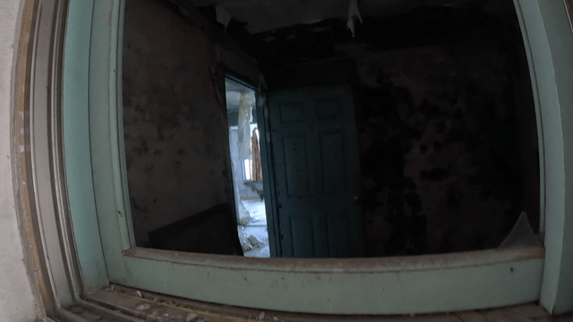 Abandoned room with pigeons inside