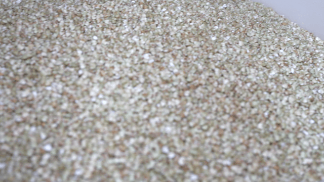Bowl filled with buckwheat grains