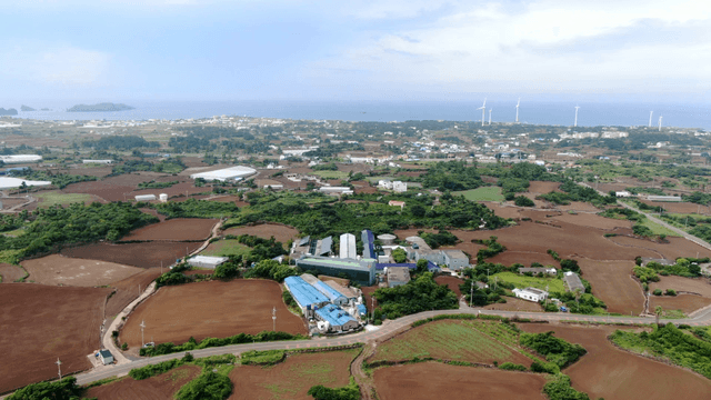 Expansive farmland with wind turbines