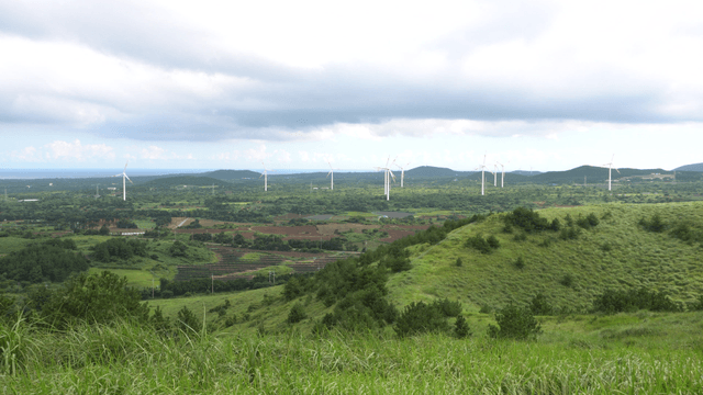 Grassland with wind turbines and farmland