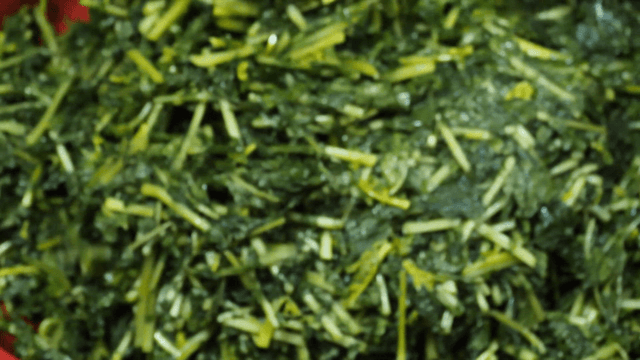 Young radish salted in brine