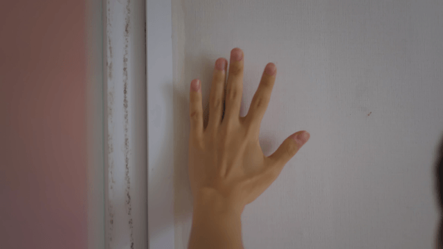 Hand that caught a mosquito indoors