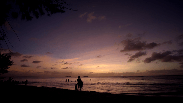 Serene beach at sunset with silhouettes