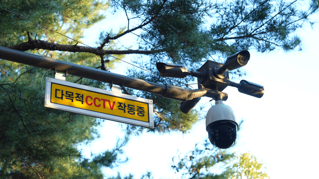 Operating CCTV camera installed under a pine tree