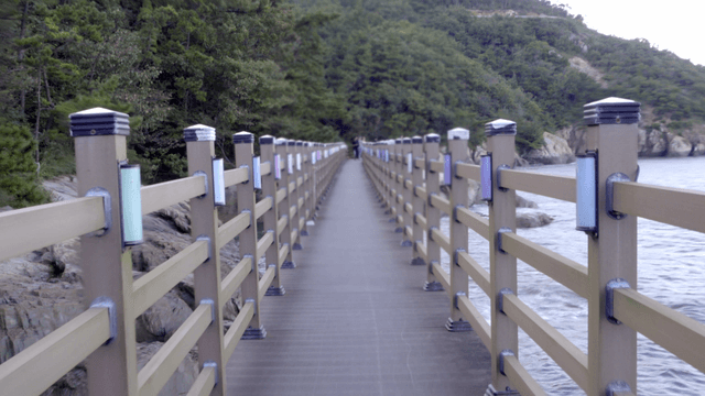 나무가 있는 바다 위의 긴 다리