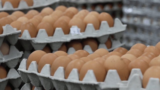 Stacks of egg trays filled with eggs