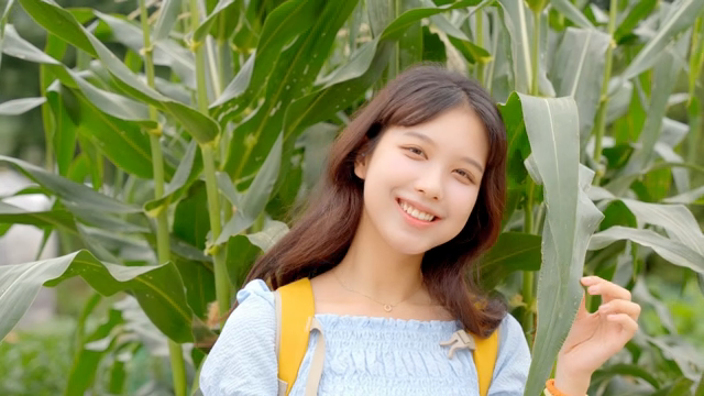 옥수수밭에서 미소 짓는 젊은 여성