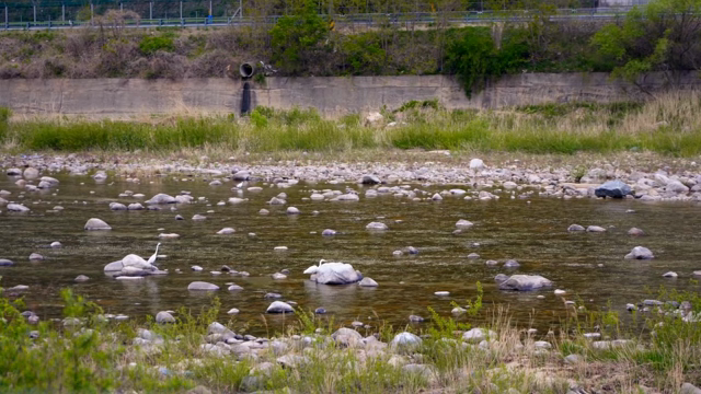 A tranquil river with scattered rocks