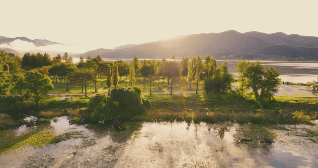 Serene lakeside park with morning sunlight