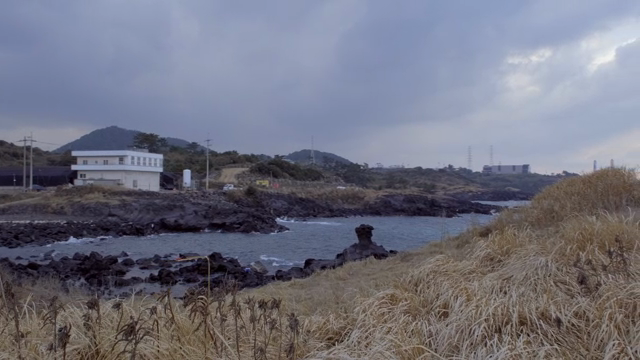 Coastal landscape with rocky shore and buildings