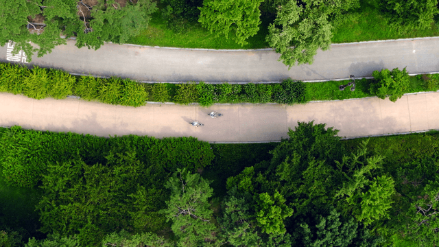Aerial view of a green park with cyclists
