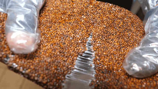 Hand tearing sweet rice puffs