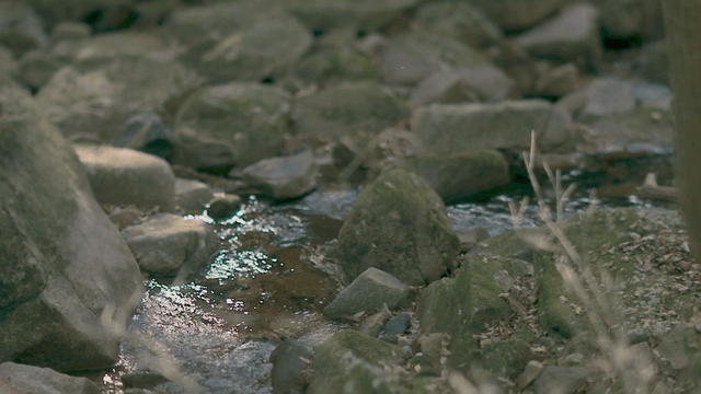 Small stream flowing over rocks