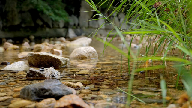 A tranquil stream with rocks and greenery