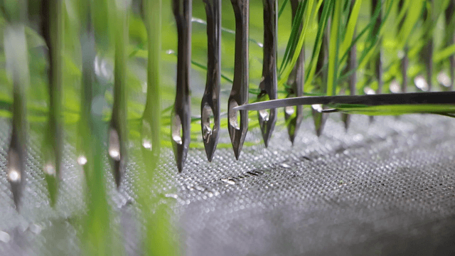 Factory loom interlacing green fibers