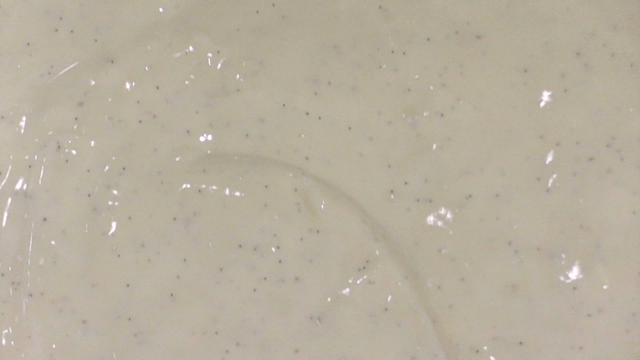 Thick cream sauce with black specks