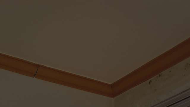 Corner of a room with mold on the wall