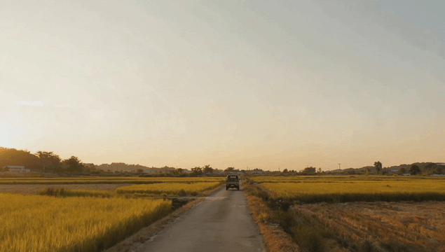 광활한 가을 시골 들판을 달리는 자동차