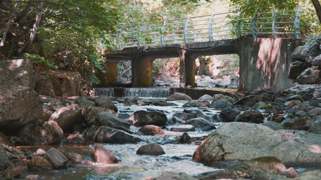 Stream flowing under a bridge in the forest