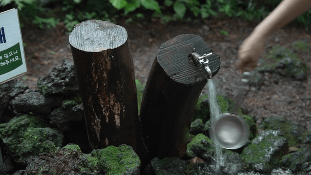 Clear spring water flowing from forest well