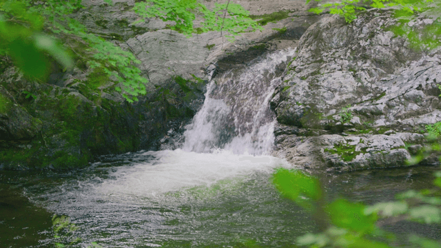 Small waterfall among forest rocks