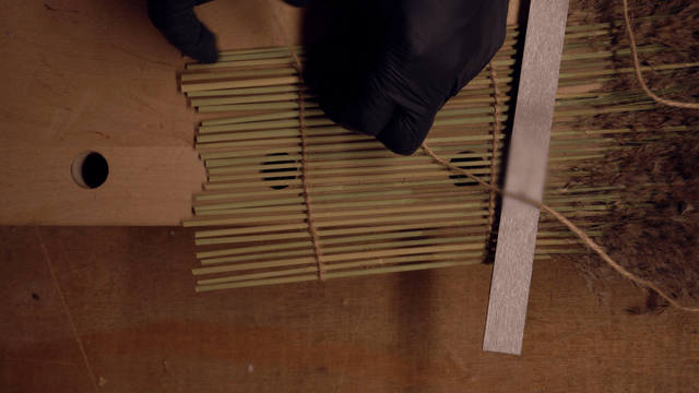 Hands tying reeds with string