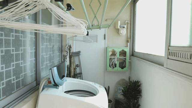 Laundry room with washing machine and plants