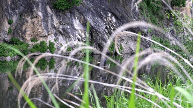 Person fishing by the rocky riverside