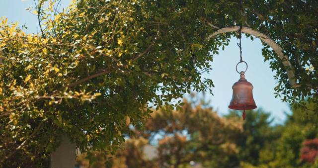 A bell hanging under lush green foliage