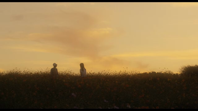 Two people in a flower field at sunset