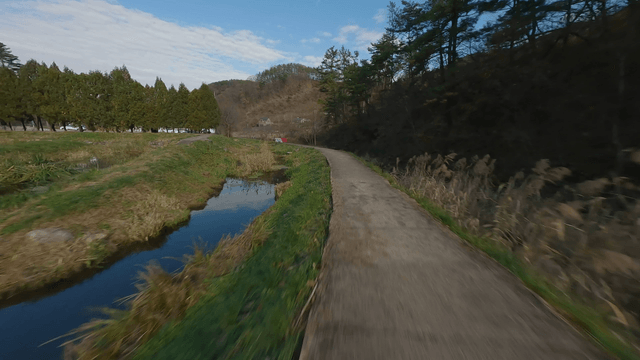 A winding path through a serene landscape