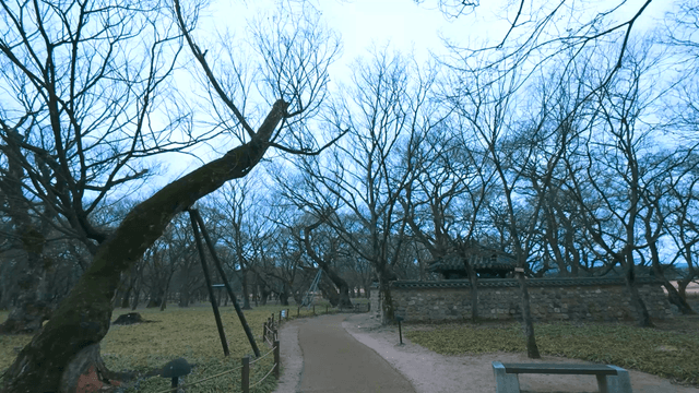 겨울 나무들과 전통 한옥이 있는 공원 길