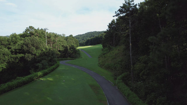 Serene golf course surrounded by trees