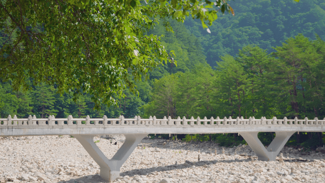 Neat stone bridge between forests
