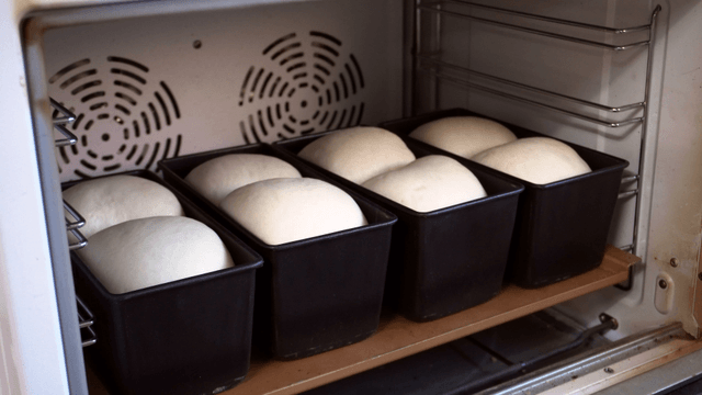 Bread dough rising in an oven