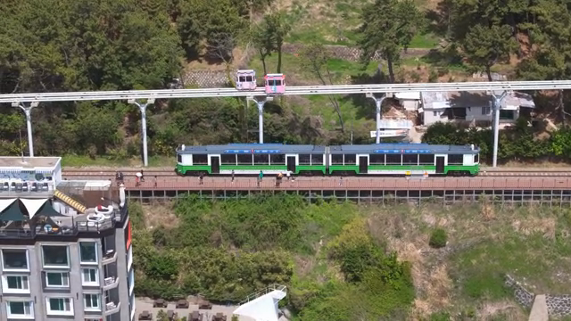 A scenic train ride through lush greenery