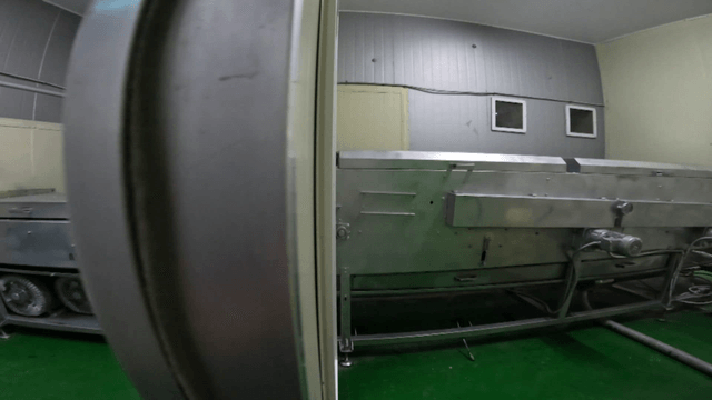 Industrial egg conveyor belt machine inside factory