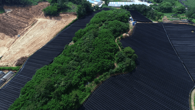 넓은 차양막이 쳐진 농장과 푸른 숲 녹지