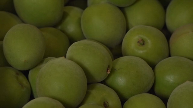 Close-up of fresh green plums