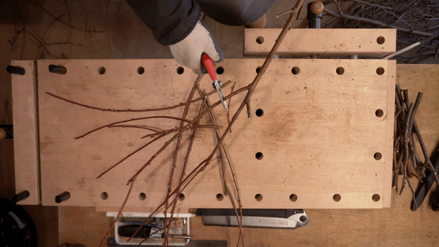 Person trimming branches with pruning shears at workbench
