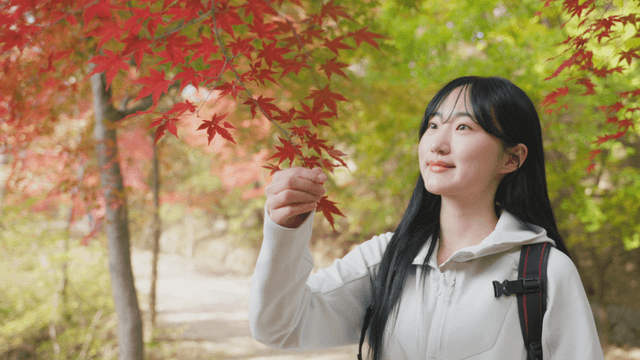 Young woman enjoying autumn foliage on mountain trail